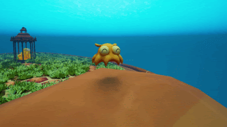 on a turtle